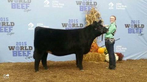 Summit : Rylee Conrad Champion Maine Anjou Heifer : World Beef Expo